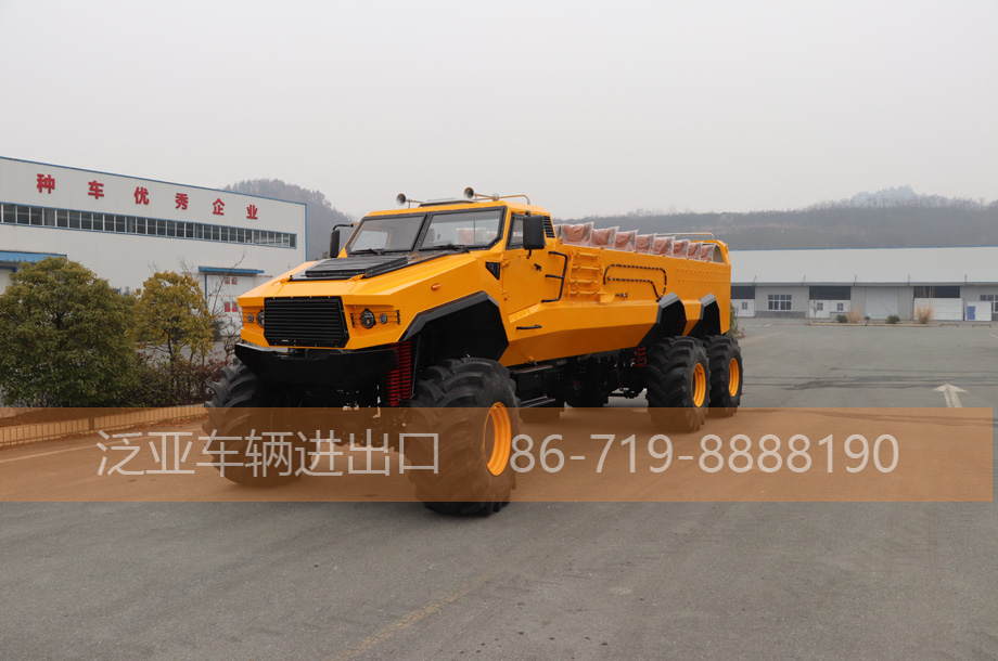 六驱沙漠冲浪车，旅游观光车可定制   （118万）