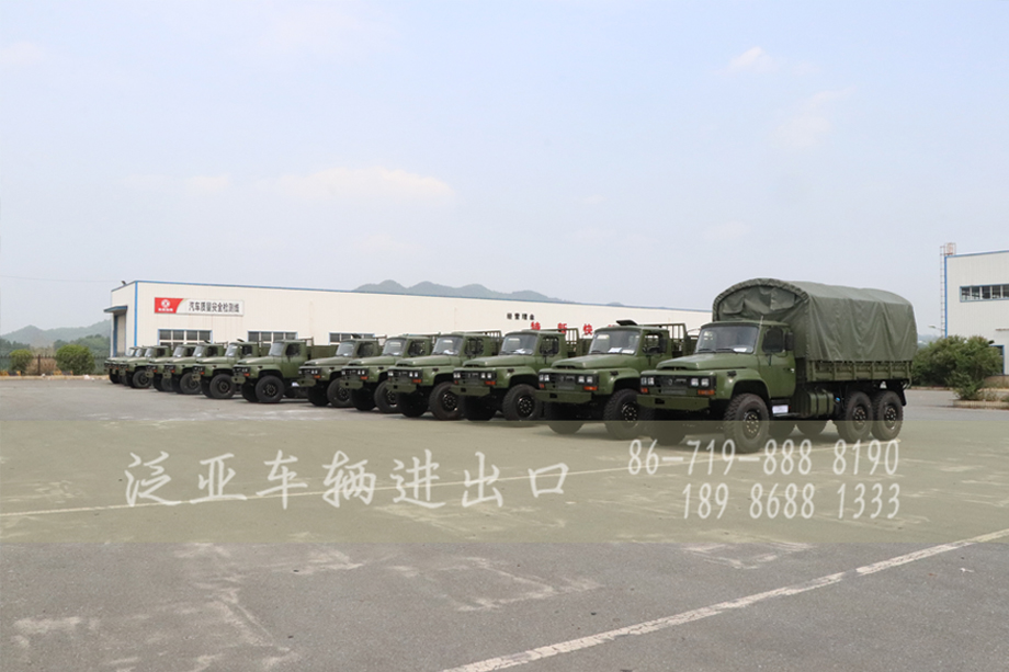 <strong>菲律宾客户订购的18辆尖头四驱越野车顺利完工</strong>