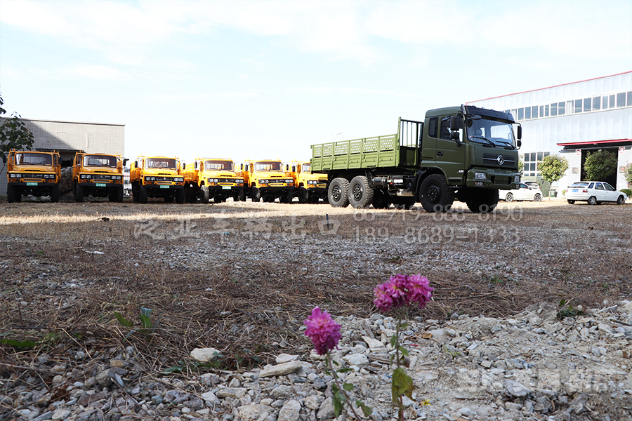 东风四驱六驱，EQ2082，EQ2102，EQ2102N，越野卡车，越野特种车，越野专用车