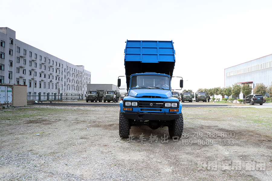 <strong>怎么选购东风6X6六驱EQ2100自卸越野车，在选购和提车时应该注意什么问题</strong>