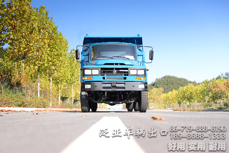 <strong>东风尖头自卸卡车  致富之路必备</strong>