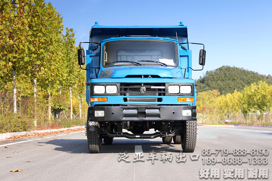 东风4*2底盘,4*2轻卡,尖头越野底盘,越野底盘定制,116马力底盘,小型卡车底盘,EQ3092,轻型微卡,微卡底盘改装