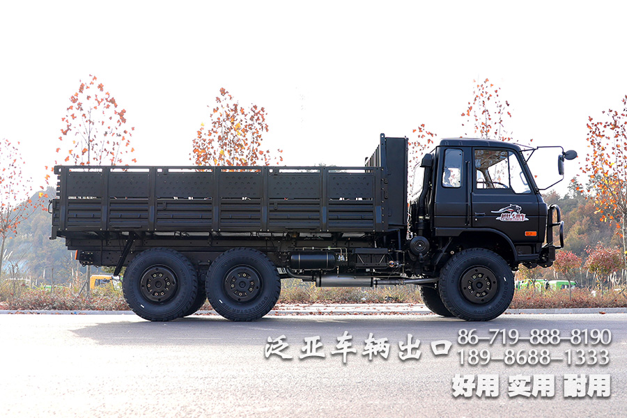 东风六驱一排半驾驶室,EQ2102N,越野底盘,专用车底盘,东风6*6,东风平头底盘,153双排驾驶室,军车底盘,153双排底盘